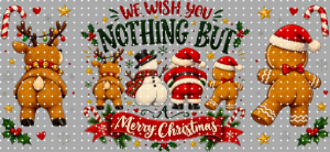 16oz Christmas-S  2994